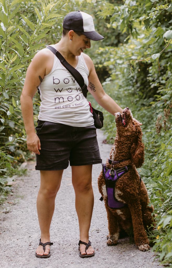 Bow Wow Meow Dog Pets