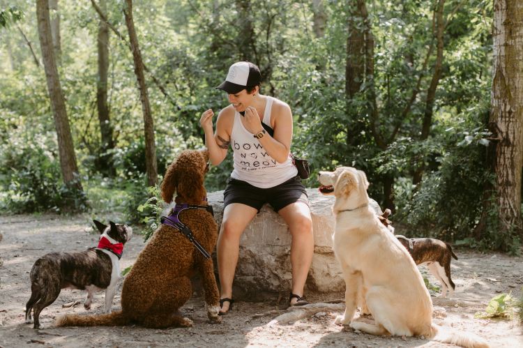 Bow Wow Meow Dog Treat Time