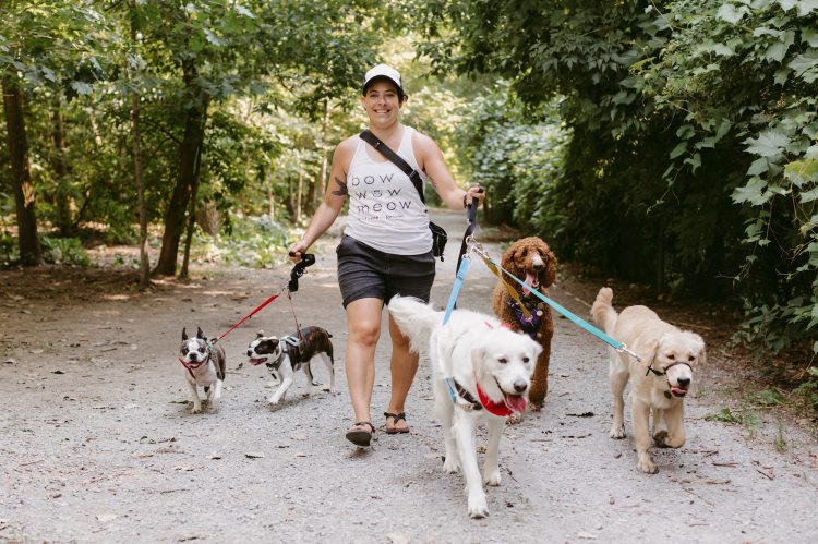 Bow Wow Meow Emily Walking Dog Group